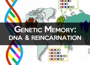 Genetic Memory and Reincarnation