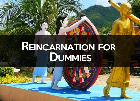 Reincarnation for Dummies