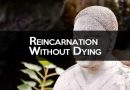 Reincarnation Without Death: The Reality of Reincarnation